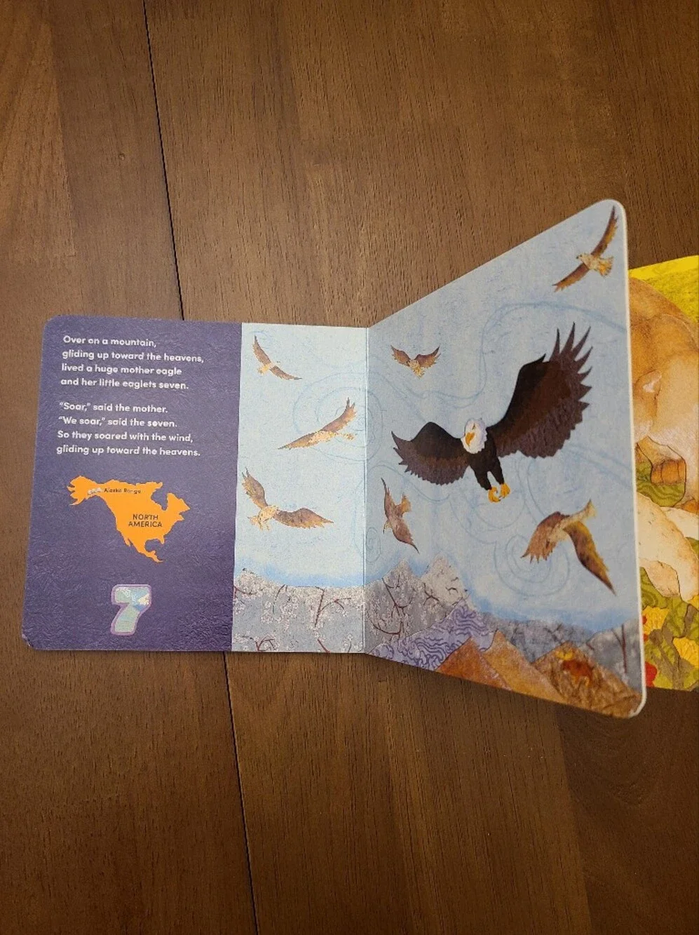 Over on a Mountain Children's Board Book - Marianne Berkes Like New
